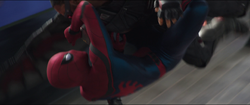 Spider-Man vs. Falcon