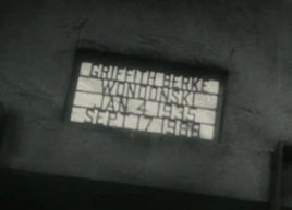 Griffith Berke Wondonski
