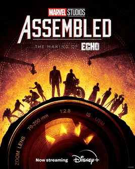 EchoAssembled