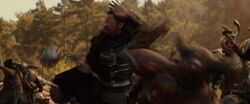 Hogun Fighting