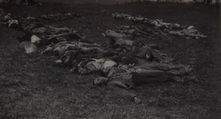 Русские - жертвы .