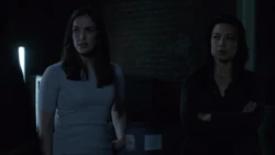 Мелинда Мэй-1590770271