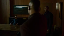 ZipShadesThreatenedByDiamondback