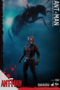 Ant-Man Hot Toys 6