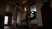 Aida Attacks Fitz