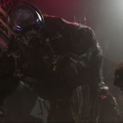 Bilgesnipe Thor Ragnarok Category Creatures Marvel Cinematic Universe Wiki Fandom marvel cinematic universe wiki