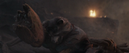 Groot & Rocket