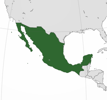 Mexico 66 wiki outlet