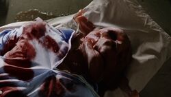 Vogel is killed during the experiment