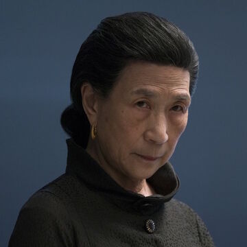 Madame Gao Marvel Cinematic Universe Wiki Fandom