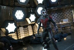 Ant-Man and the Wasp: Quantumania' drops down a subatomic rabbit hole