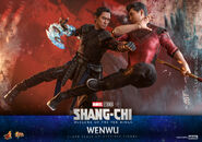 Mandarin Hot Toys18