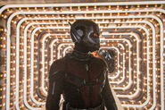 AntManAndTheWasp Ant-Man