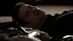 Уорд пытается пристрелить Мэй