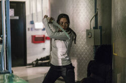 What martial art does Colleen Wing teach in Marvels Iron Fist  Quora