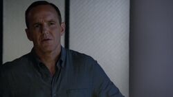 Coulson hears Fitz's theory