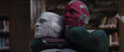 Vision fights Vision