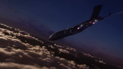  flies the  away from harm