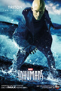 Inhumans Character Poster 05