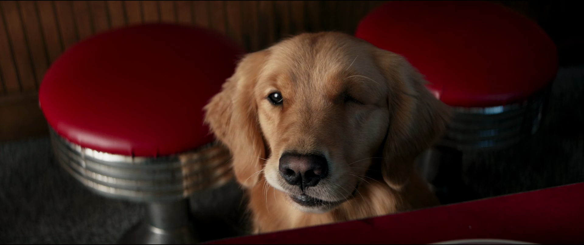 https://static.wikia.nocookie.net/marvelcinematicuniverse/images/6/6c/Lucky_Pizza_Dog.png/revision/latest?cb=20211203152129