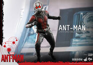 Ant-Man Hot Toys 9