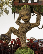 Groot - Avengers Campus Recruitment Infobox