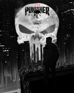 The Punisher D+ Poster