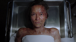 Auran wakes up in 's lab