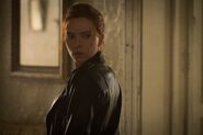 Black Widow Back Still