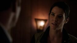 Maria-Hill-Speaks-to-Coulson