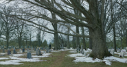 Cemetary