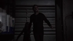 Фитц ведёт  к 