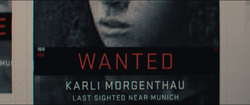 Karli Morgenthau Wanted