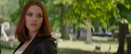 Black Widow (2014)