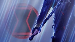Black Widow Cover Legends