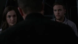  просит Фитца и  отбросить разногласия