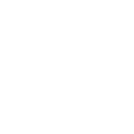 Illuminati Icon
