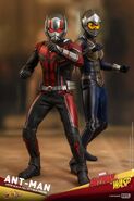 Ant-Man-and-Wasp-Hot-Toys-Figures-15-600x900