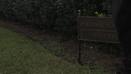 Promenade Society