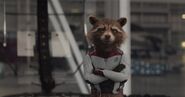 Rocket Raccoon Time Travel Suit