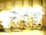 World on Fire/Gallery