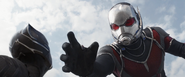 CW Ant-Man 22