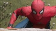 Spider-Man Homecoming D+