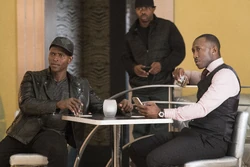 CottonmouthZip-TableTalk