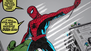 Spider-Man (Amazing Fantasy - 75 Years)