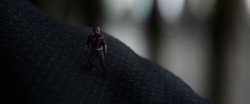 Ant-Man sees the  arresting 