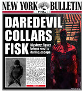 Daredevil-Collars-Fisk-NYB