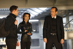 Coulson-Fitz-May