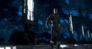 Black Panther5a8bb48a5db9b