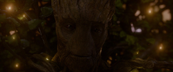 Groot Sacrificio